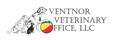 ventnor veterinary  Phone 609-441-2199